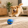 Magic UFO Transforming Disc Ball – Interactive LED Frisbee & Chase Toy for Kids & Pets